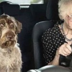 Car gran Car gran