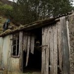 Shed Shed